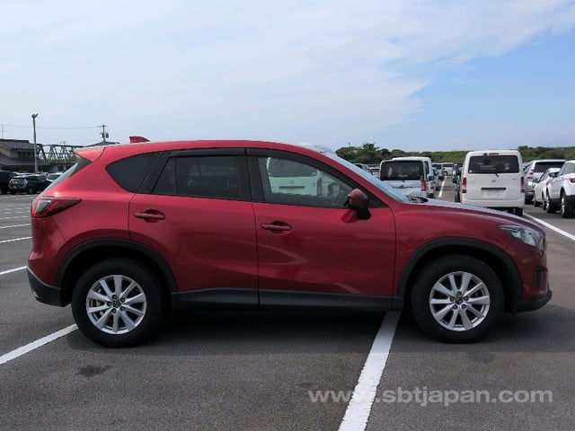 8.jpg