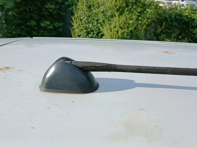 302.jpg
