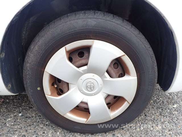 41.jpg