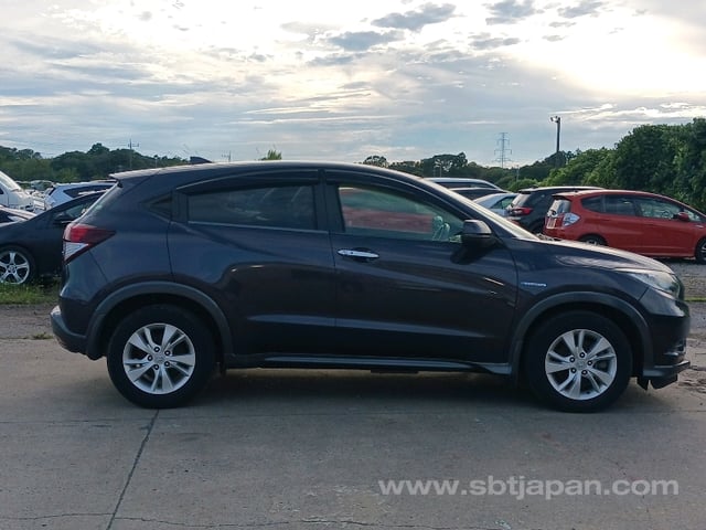 45.jpg