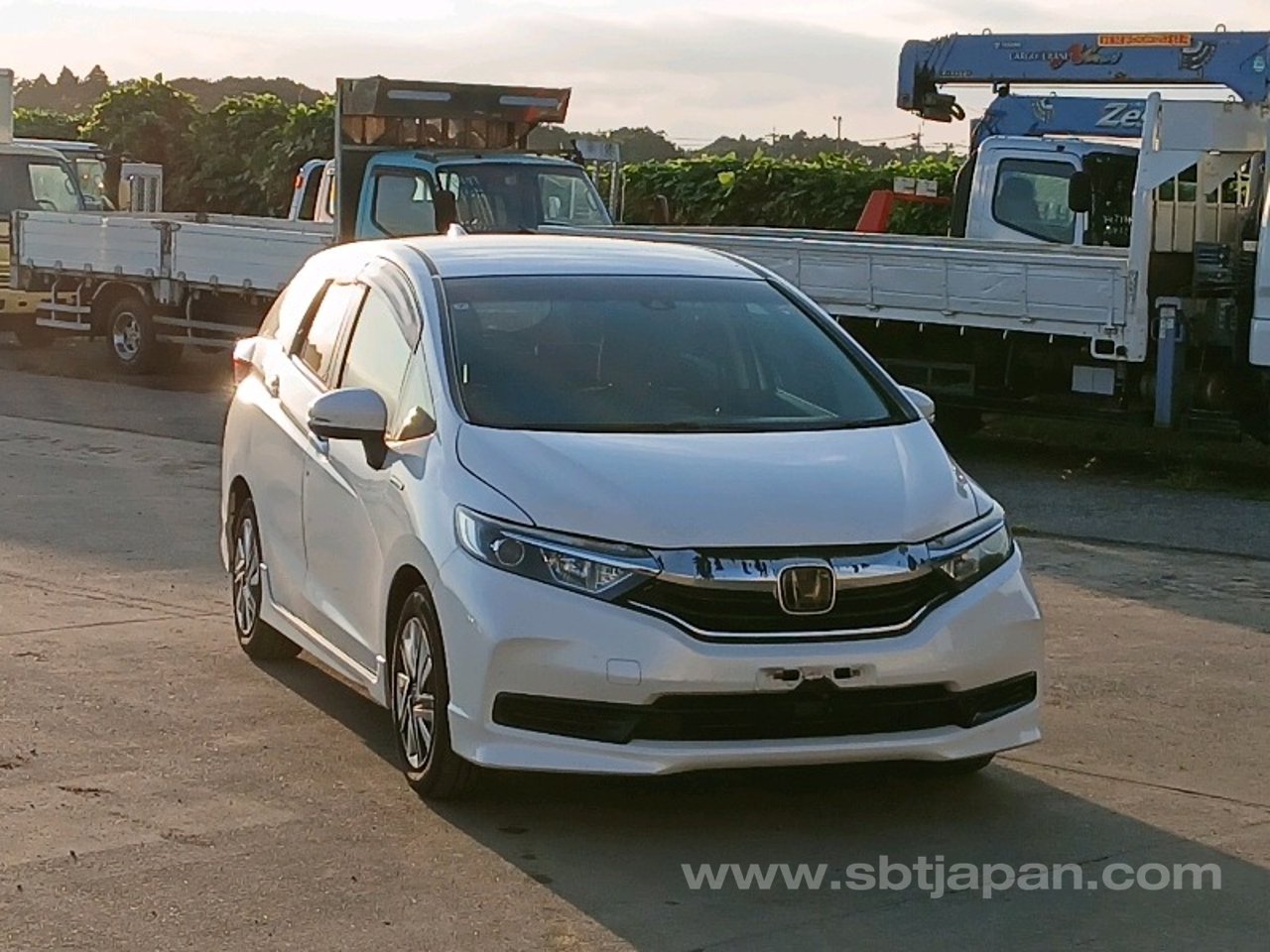 2019 Honda Shuttle, photo 1 of 1