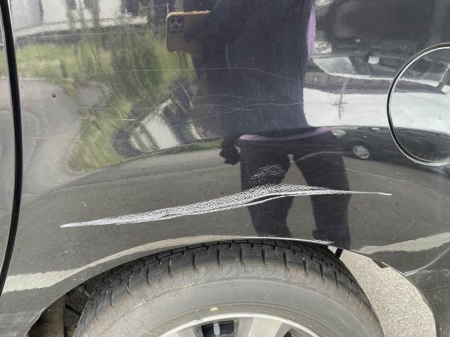 281.jpg