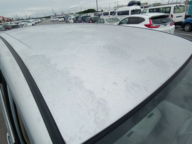 286.jpg