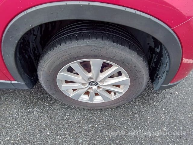 31.jpg