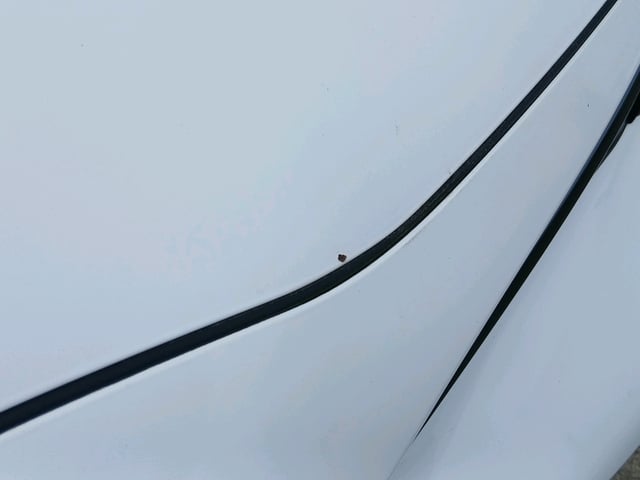 280.jpg