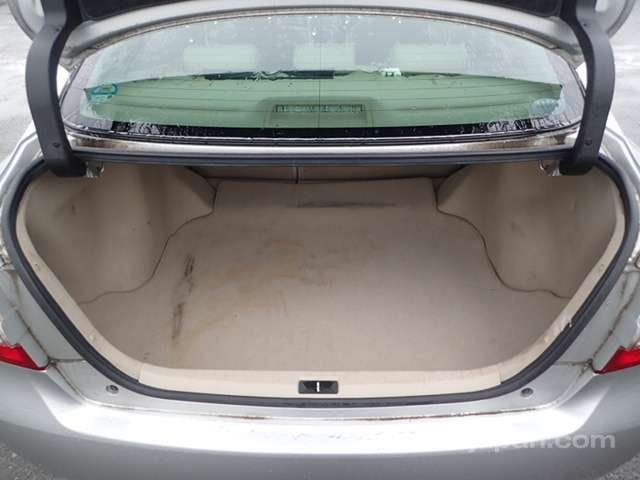 41.jpg