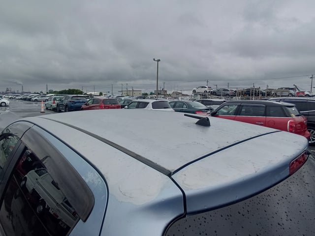 285.jpg