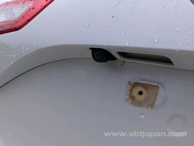 39.jpg
