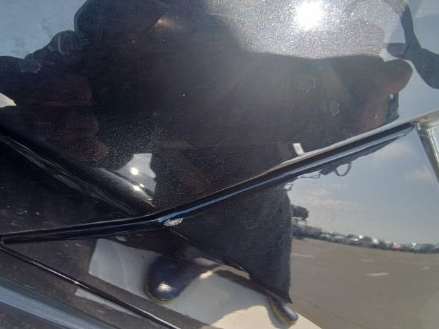 280.jpg