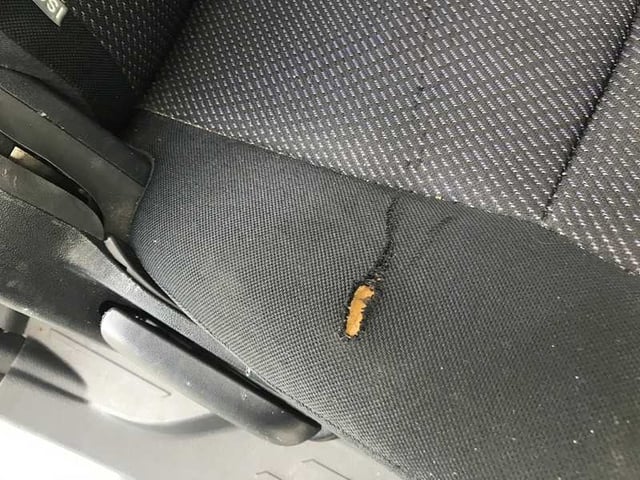 289.jpg