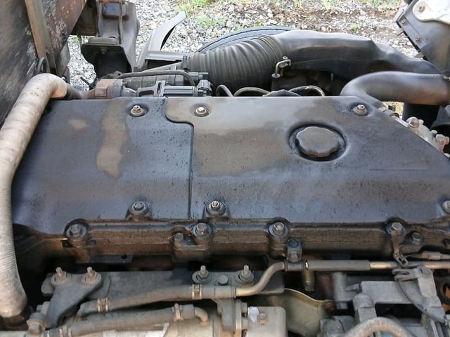 280.jpg