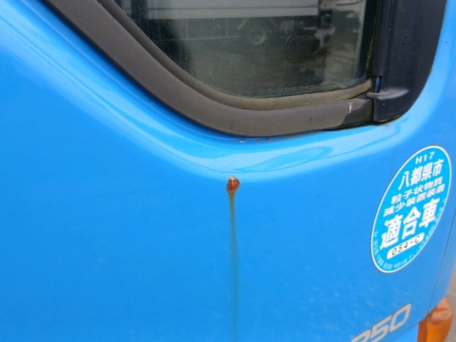 283.jpg