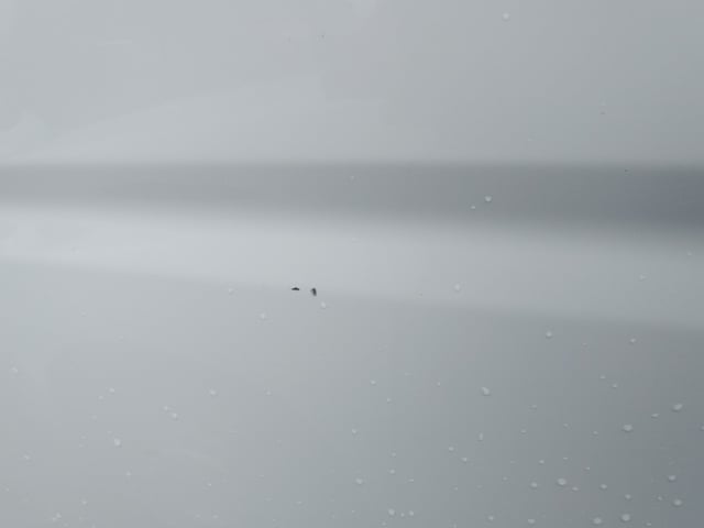 280.jpg
