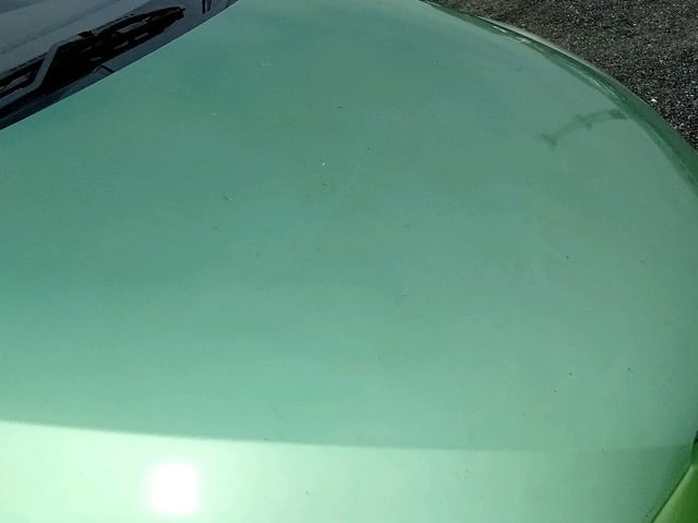 281.jpg