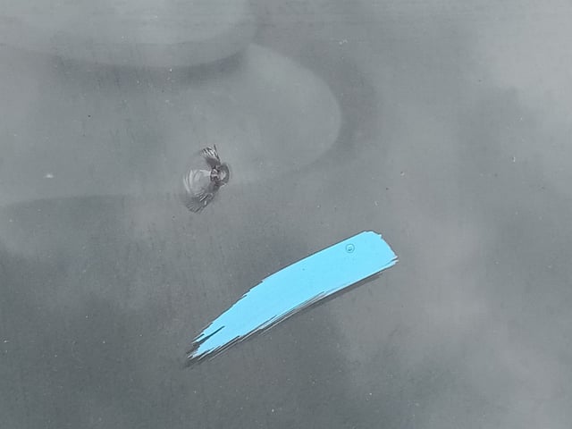 284.jpg