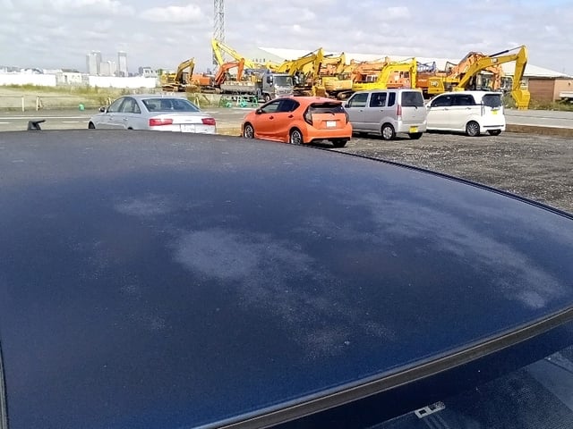 283.jpg