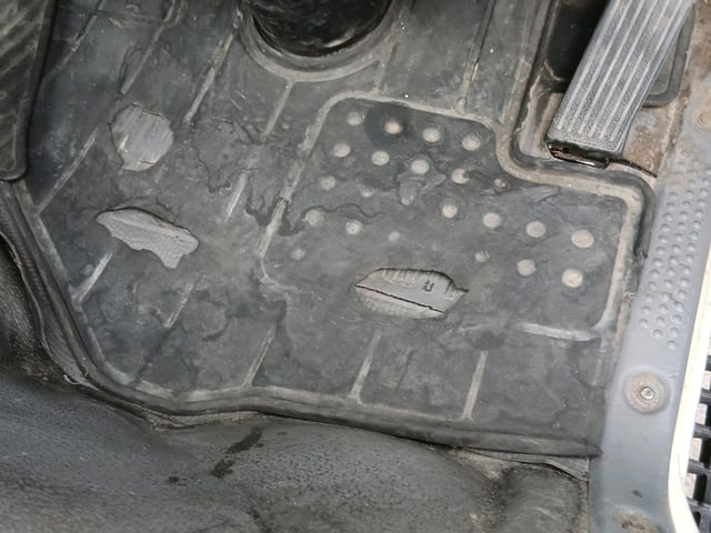 286.jpg