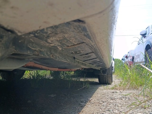 287.jpg