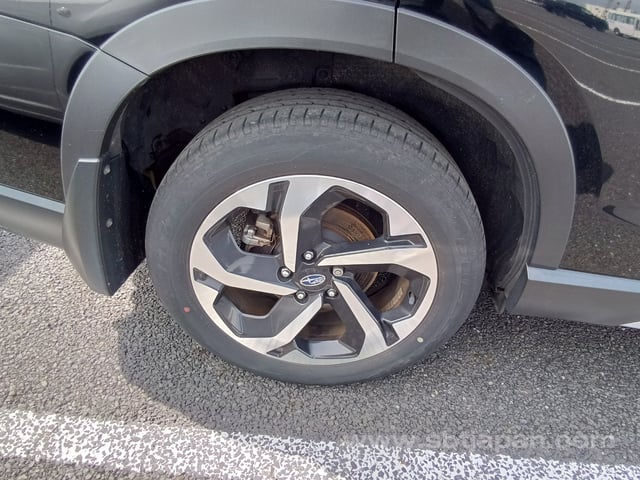 29.jpg