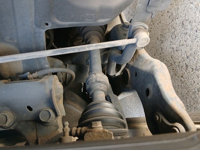 286.jpg