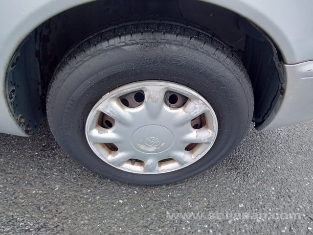 29.jpg