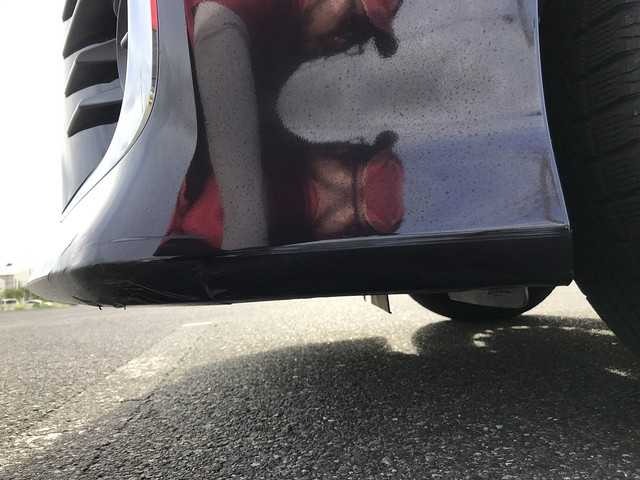 281.jpg