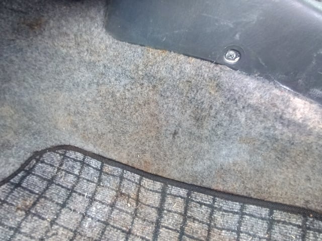 280.jpg