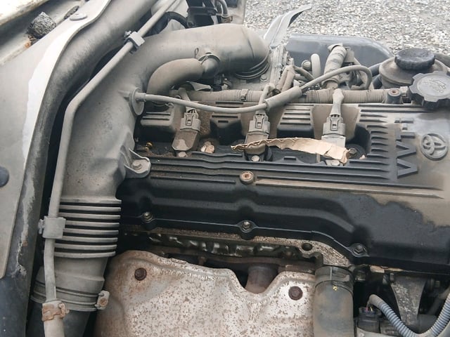 285.jpg