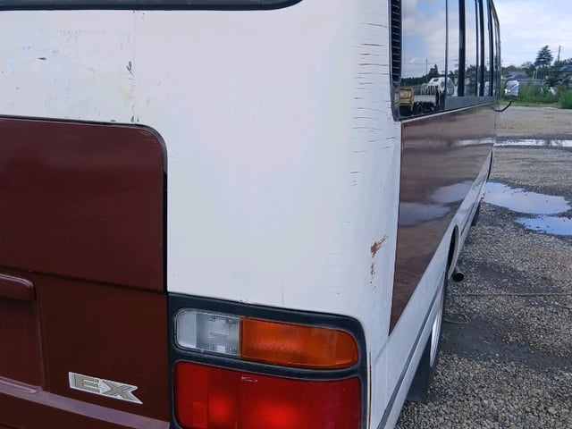 286.jpg