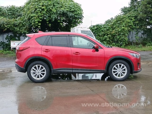 7.jpg