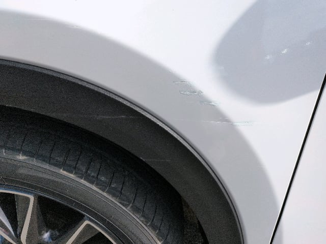 283.jpg