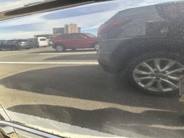 281.jpg