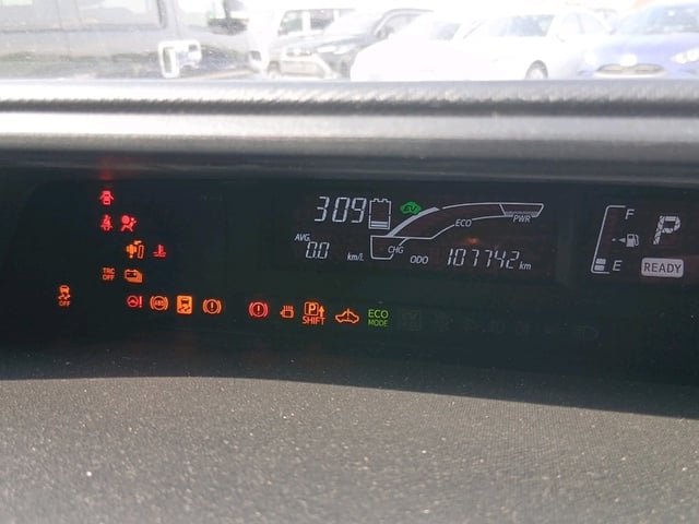 280.jpg
