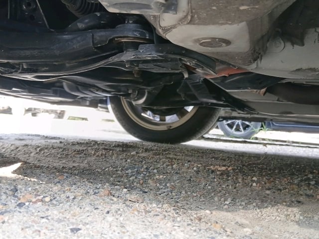 300.jpg