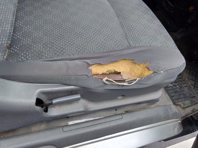 280.jpg