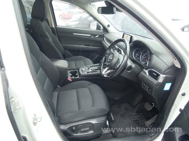 21.jpg