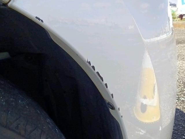 283.jpg