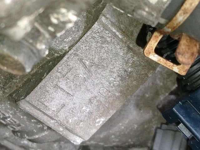 283.jpg