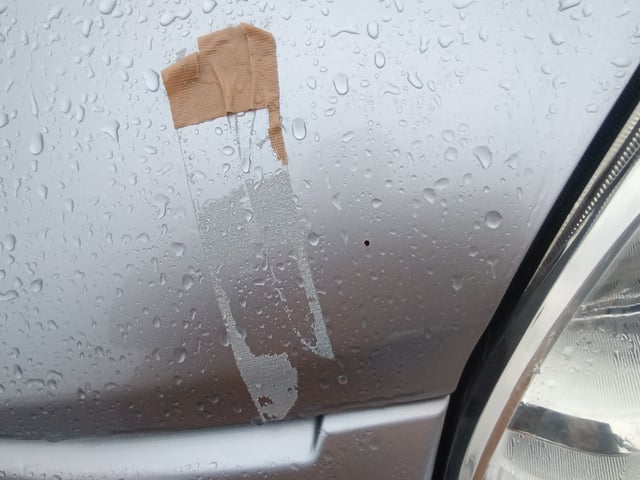 283.jpg