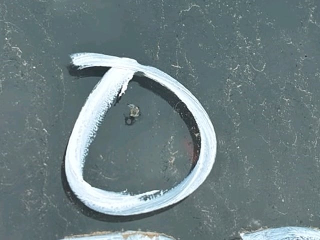 280.jpg