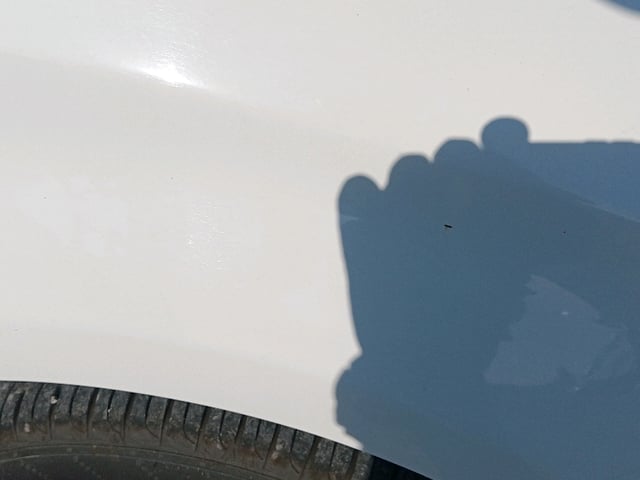 281.jpg