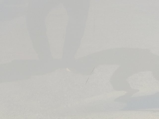 295.jpg
