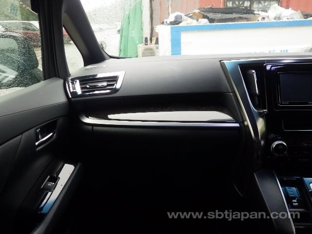 2016 TOYOTA ALPHARD S A PKG TYPE BLACK