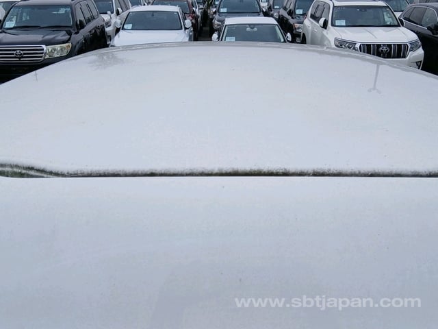37.jpg