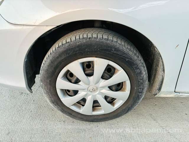 41.jpg