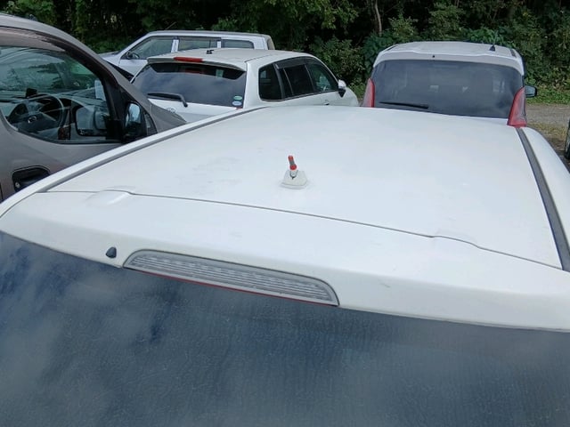 292.jpg