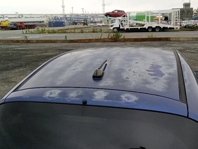 291.jpg