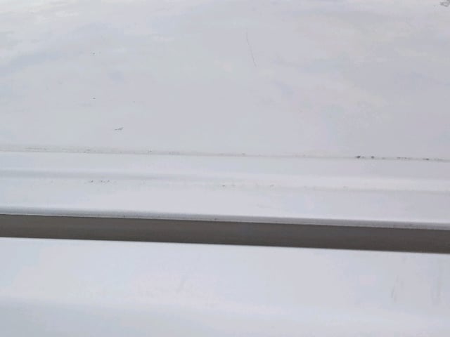 289.jpg