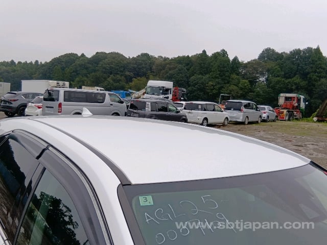 39.jpg