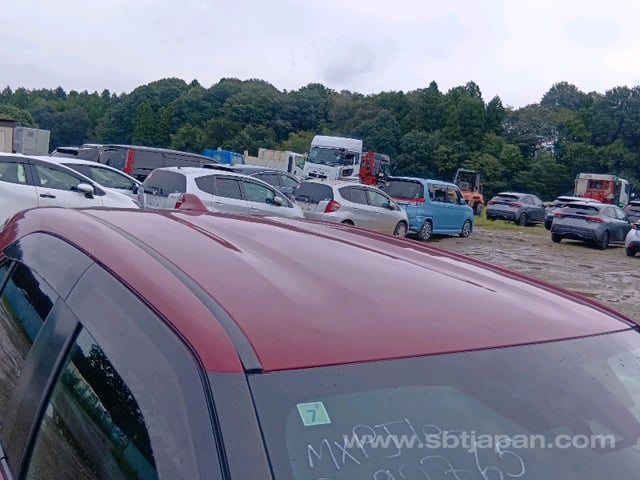 39.jpg